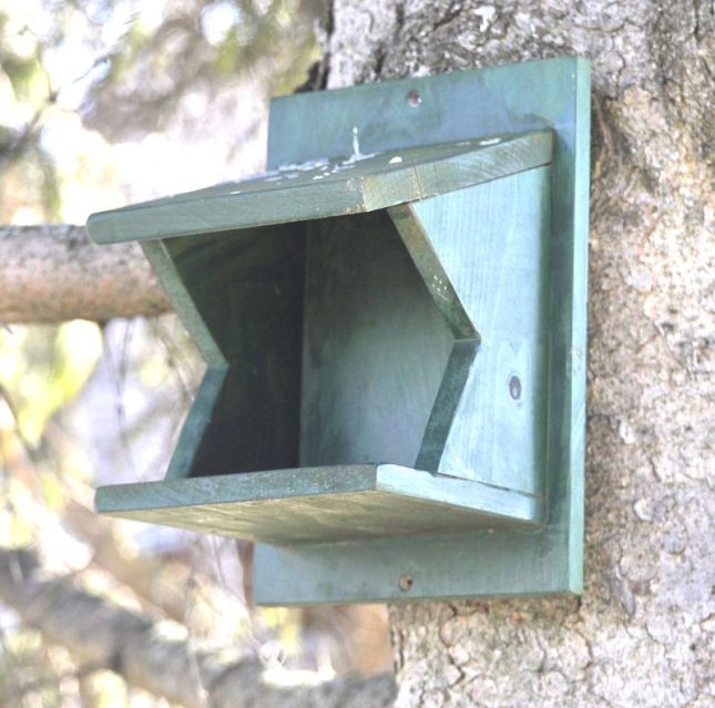 DIY Robin Birdhouse Plans Wooden PDF woodworking benches ...